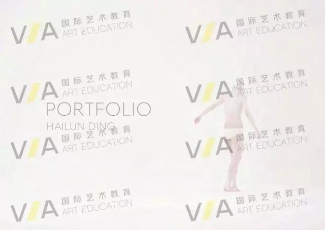 va艺术作品集培训