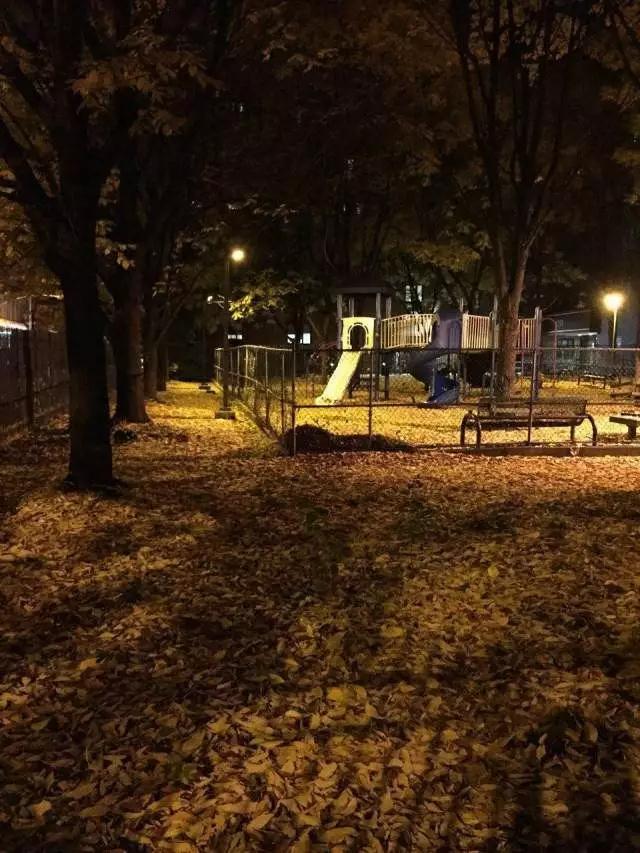 va作品集辅导 va作品集辅导