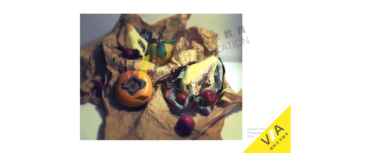 插画留学辅导作品