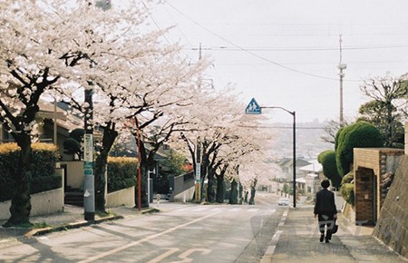 日本建筑留学